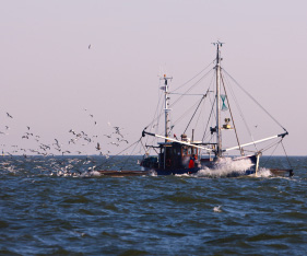 Fishing boat